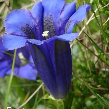 아파트 Notburga *