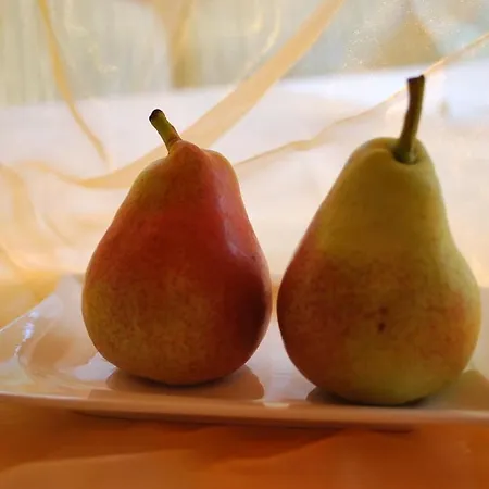 Notburga * 그리스 임 젤라인