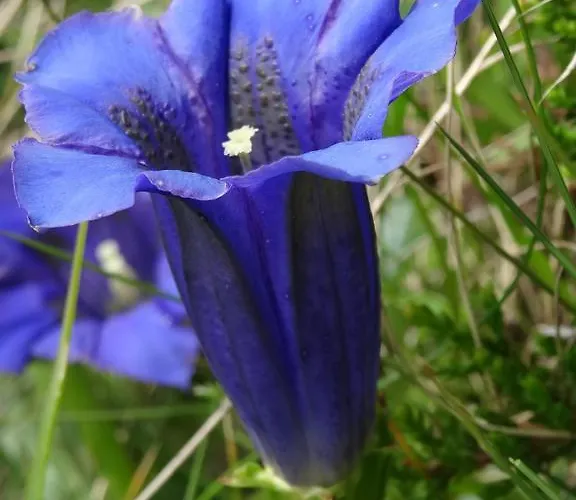 Apartment Landhaus Notburga *