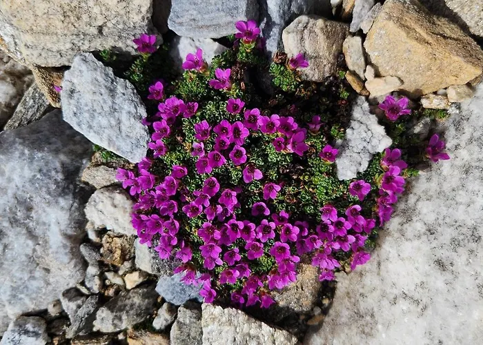 Landhaus Notburga Gries im Sellrain