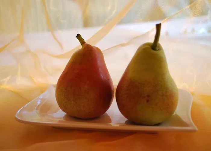 Landhaus Notburga * Gries im Sellrain