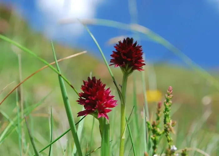 Landhaus Notburga Gries im Sellrain